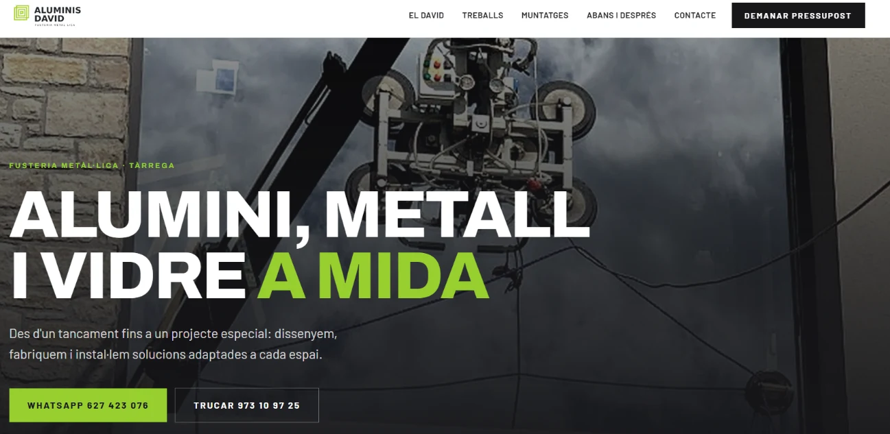 Projecte web Aluminis David